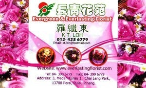 evergreen_F.jpg  